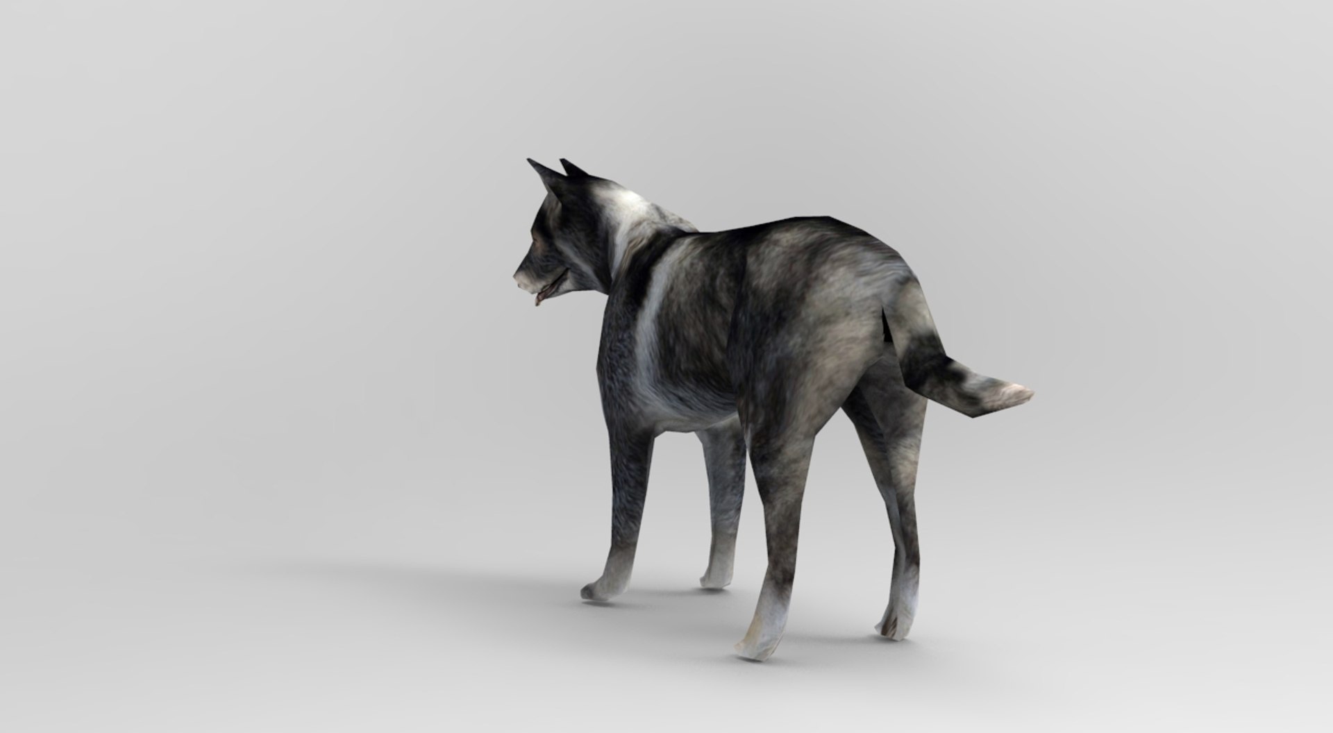 German Shepherd Dog Rigged 3D Model | 1144086 | TurboSquid