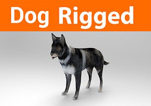 german shepherd dog rigged 3D model