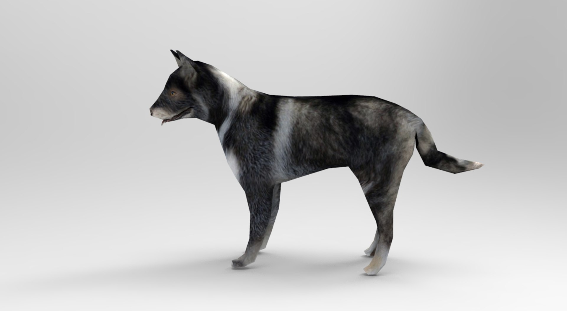 German Shepherd Dog Rigged 3D Model | 1144086 | TurboSquid