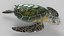 Tortuga verde