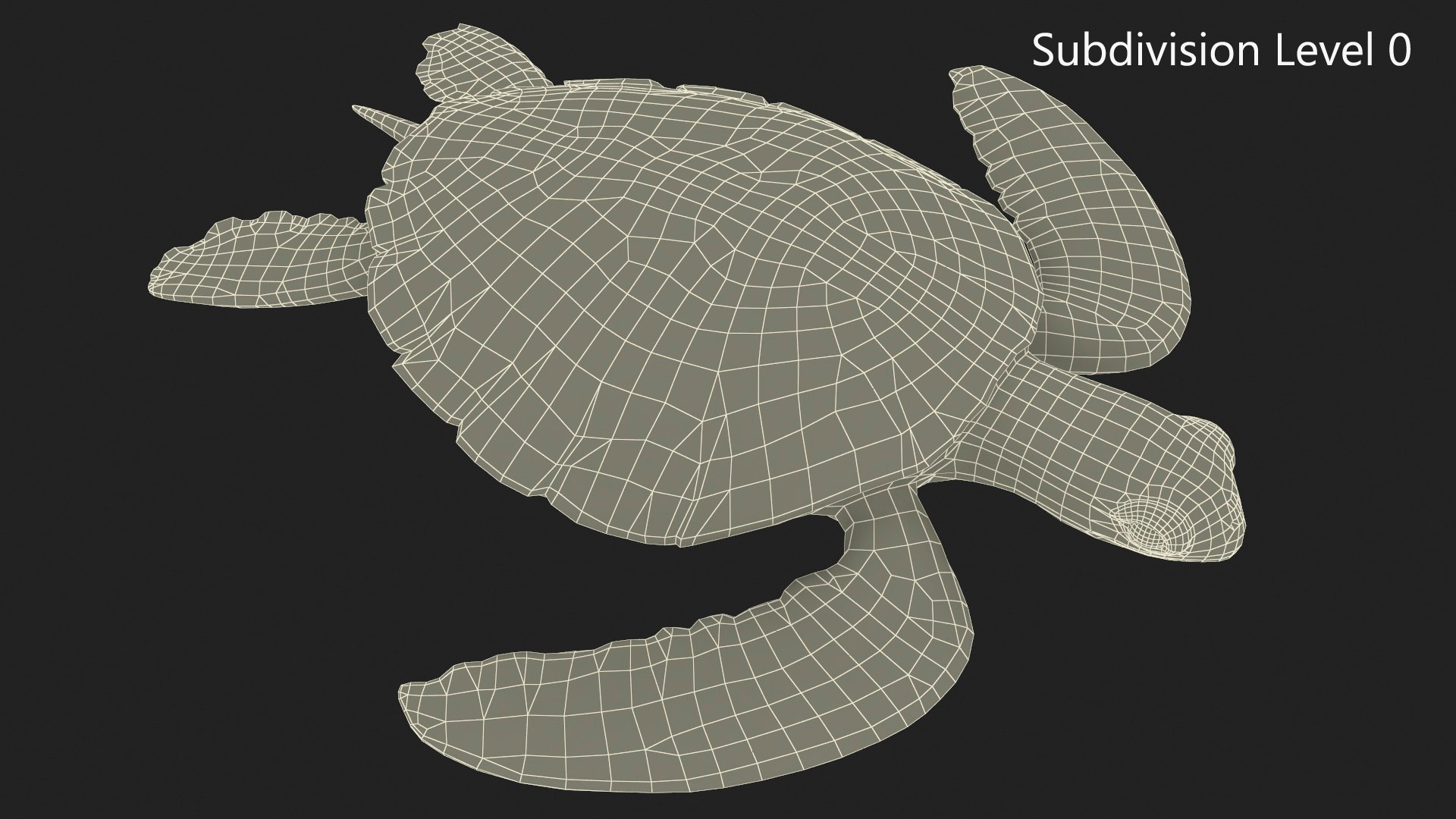 Green Turtle 3D https://p.turbosquid.com/ts-thumb/yg/ePKVDh/EM/greenturtlevray3dmodel017/jpg/1709035044/1920x1080/fit_q87/255504194958453b259b0339dd07f89065489988/greenturtlevray3dmodel017.jpg