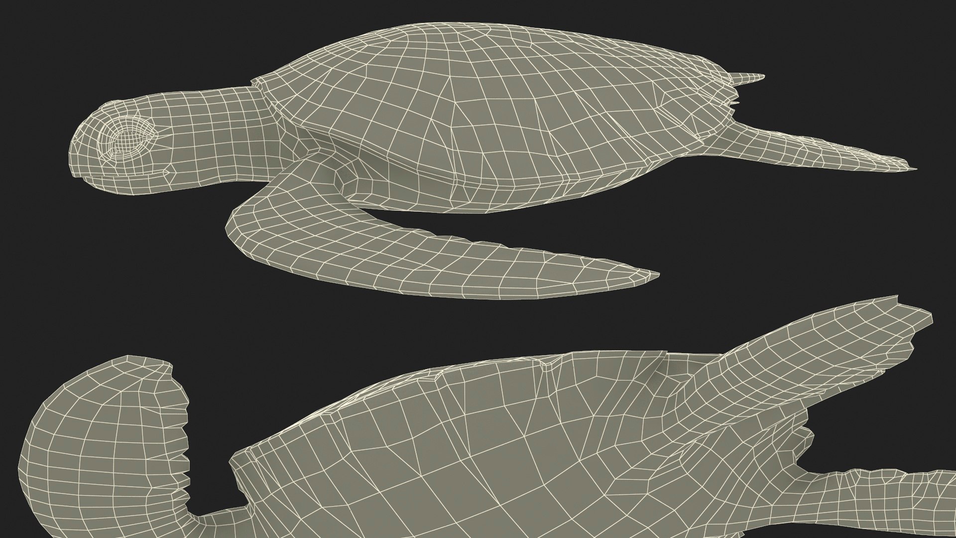Green Turtle 3D https://p.turbosquid.com/ts-thumb/yg/ePKVDh/JZ/greenturtlevray3dmodel030/jpg/1709035097/1920x1080/fit_q87/887aa7a1322c4bb6bced5abc6f50296480f6d4a8/greenturtlevray3dmodel030.jpg