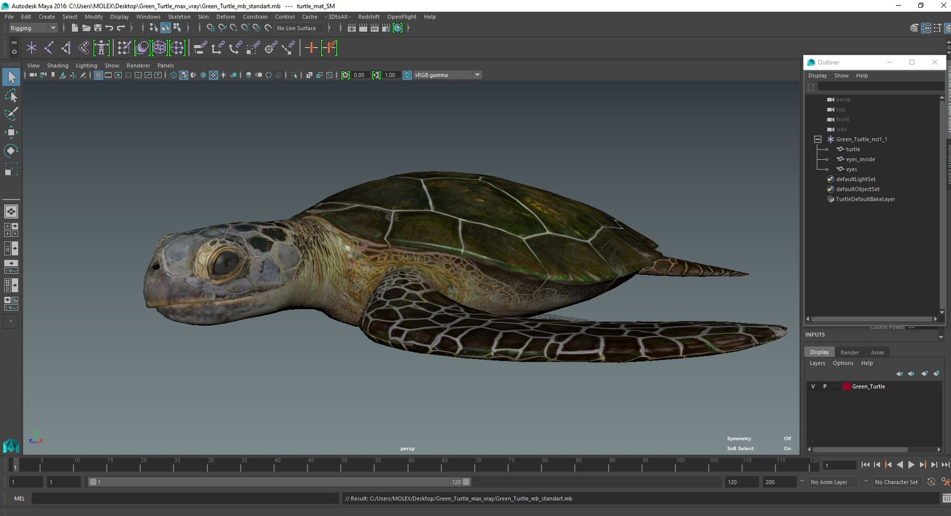 Green Turtle 3D https://p.turbosquid.com/ts-thumb/yg/ePKVDh/Oh/greenturtlevray3dmodel034/jpg/1709035113/1920x1080/fit_q87/cbeead952f6a067ced8f8d3489c73651eea4ec46/greenturtlevray3dmodel034.jpg