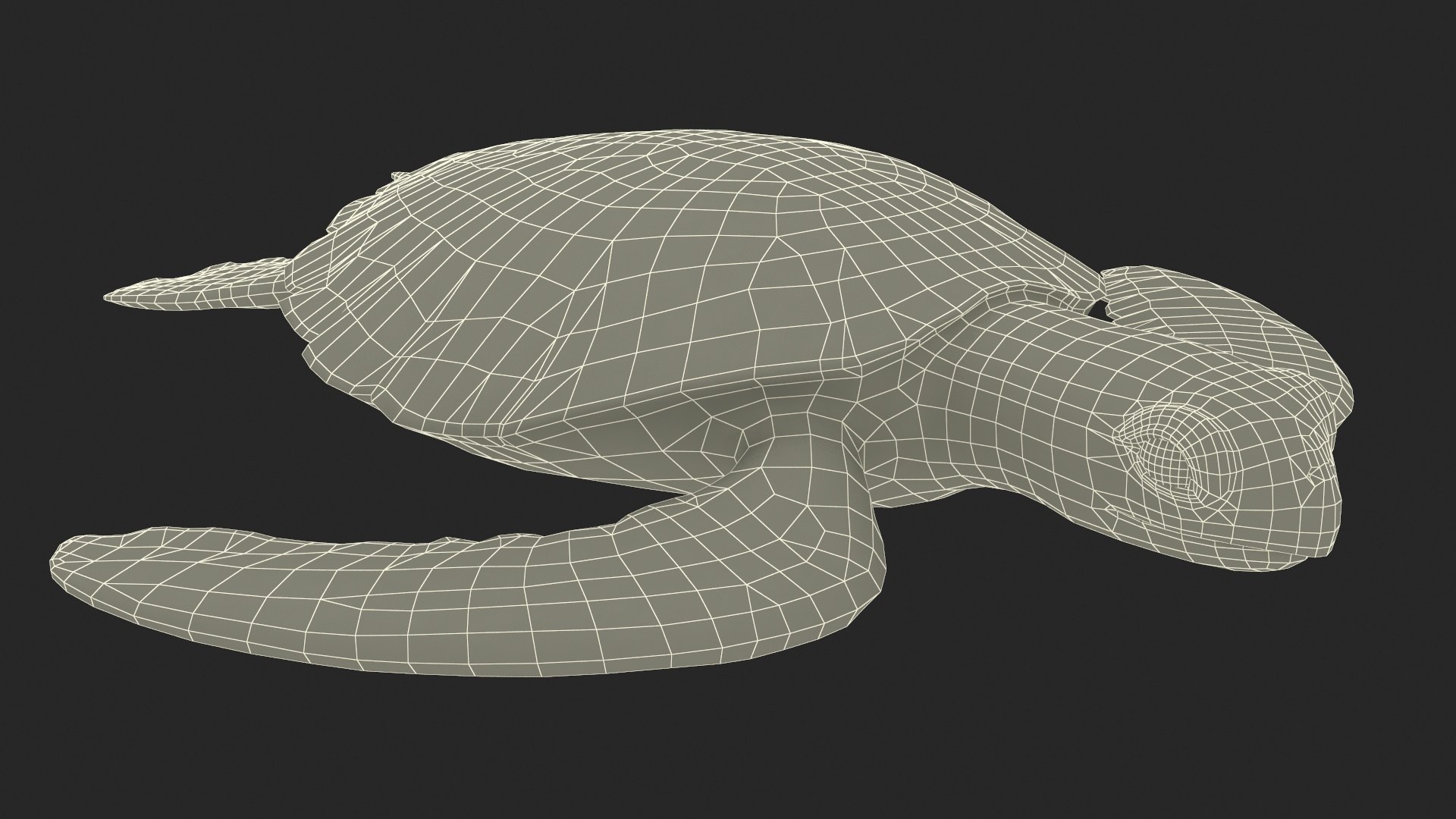 Green Turtle 3D https://p.turbosquid.com/ts-thumb/yg/ePKVDh/S1/greenturtlevray3dmodel023/jpg/1709035068/1920x1080/fit_q87/31e2775f3ae9d616bcb32169804ab3508e94dead/greenturtlevray3dmodel023.jpg