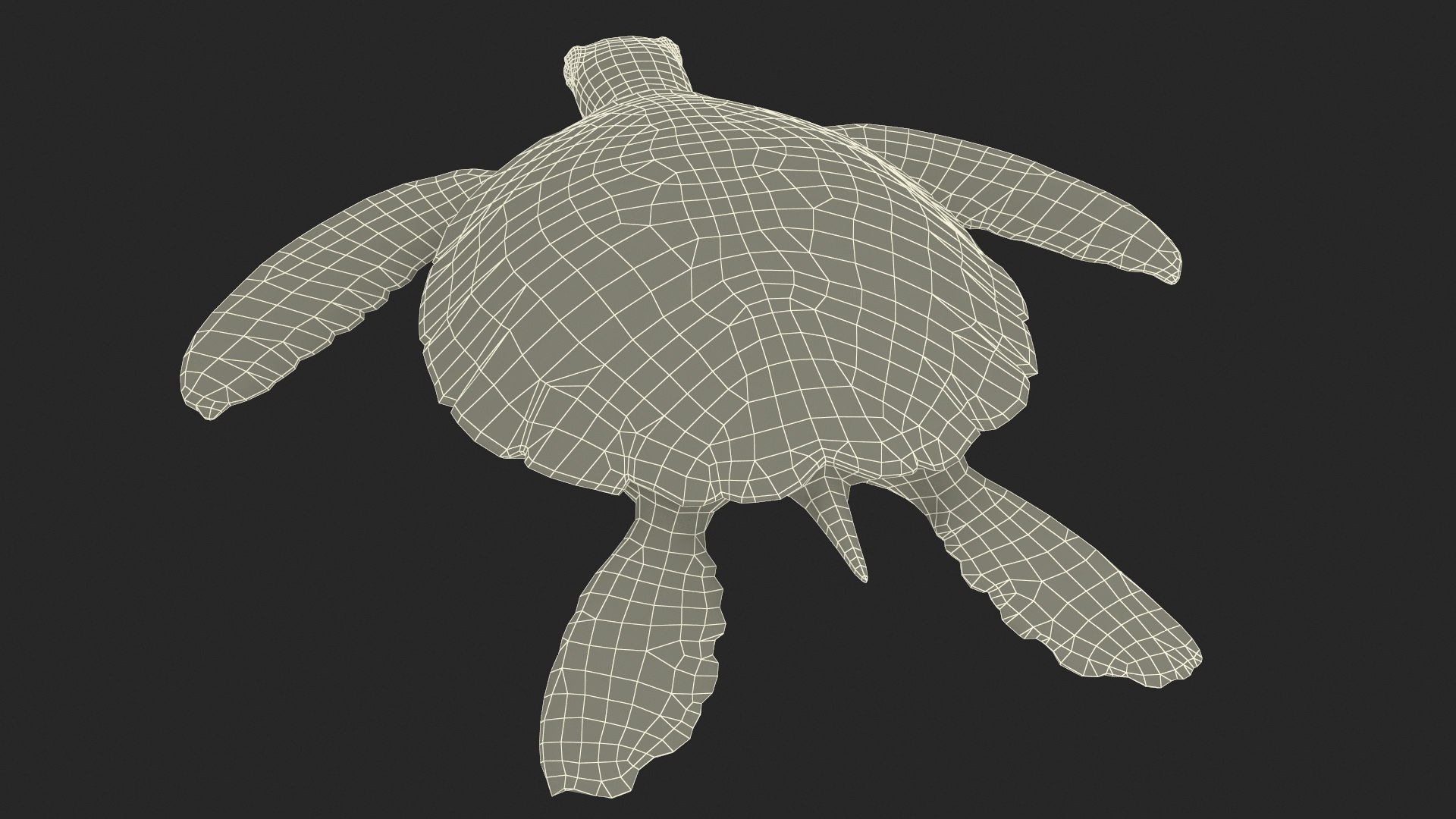Green Turtle 3D https://p.turbosquid.com/ts-thumb/yg/ePKVDh/Vm/greenturtlevray3dmodel024/jpg/1709035072/1920x1080/fit_q87/d032e6c8fb20788a855d053341228bfcaeb40be5/greenturtlevray3dmodel024.jpg