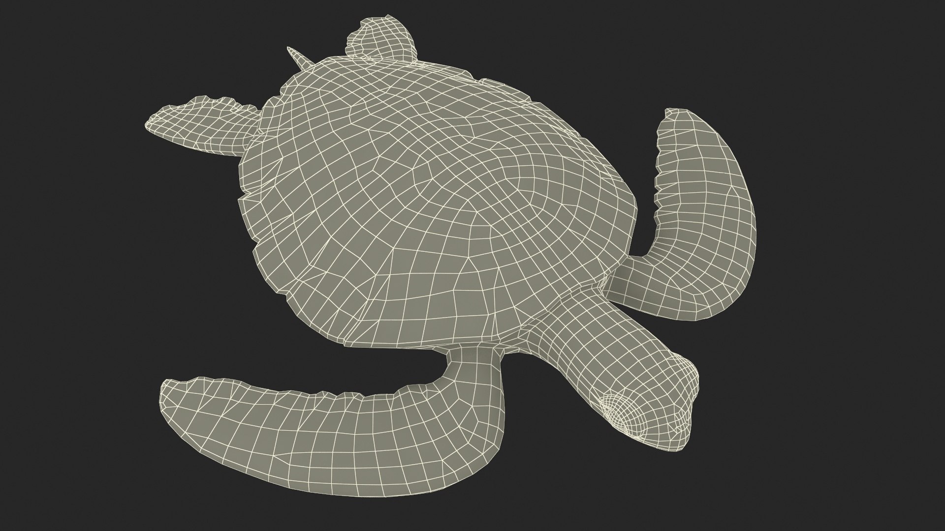 Green Turtle 3D https://p.turbosquid.com/ts-thumb/yg/ePKVDh/md/greenturtlevray3dmodel022/jpg/1709035064/1920x1080/fit_q87/461af89656a7de2b5642b00f9f42b386b32f89c0/greenturtlevray3dmodel022.jpg