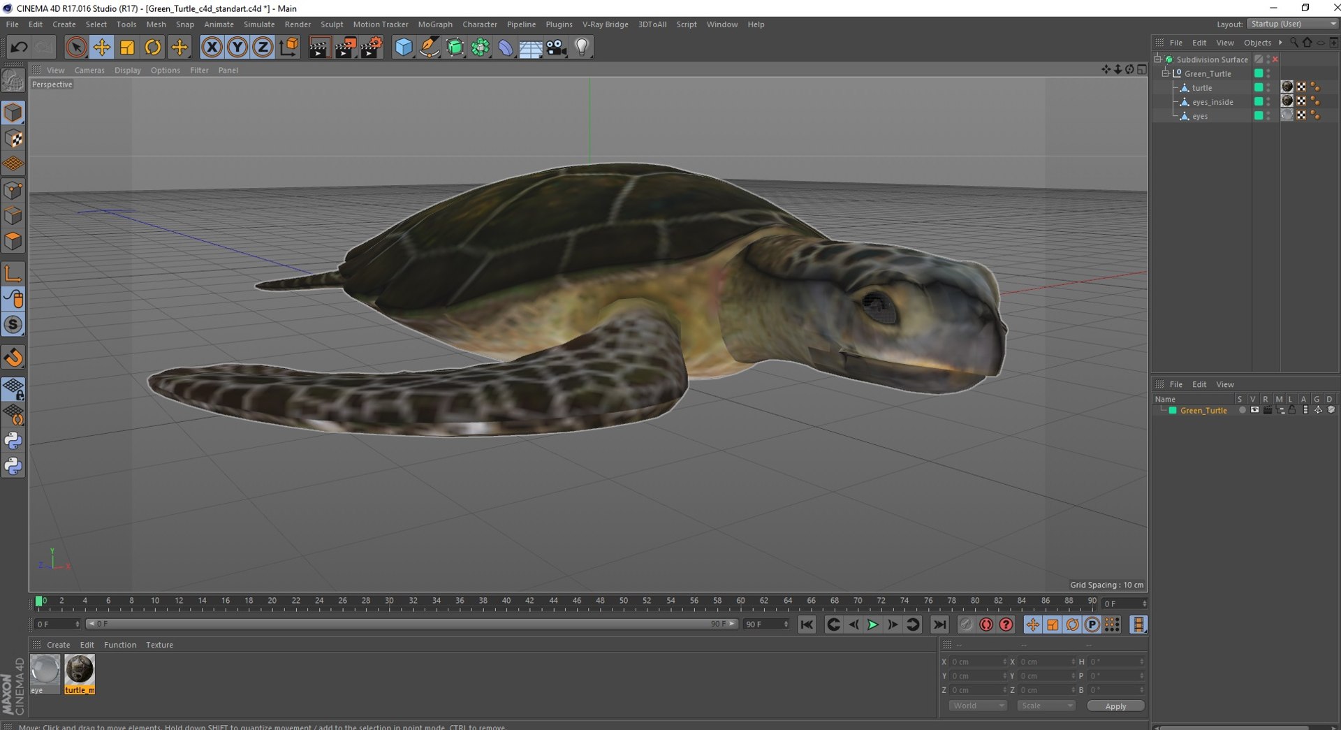 Green Turtle 3D https://p.turbosquid.com/ts-thumb/yg/ePKVDh/nG/greenturtlevray3dmodel033/jpg/1709035109/1920x1080/fit_q87/f641bfc4d24b750c2f27984db87ba2ffc50b1ee2/greenturtlevray3dmodel033.jpg