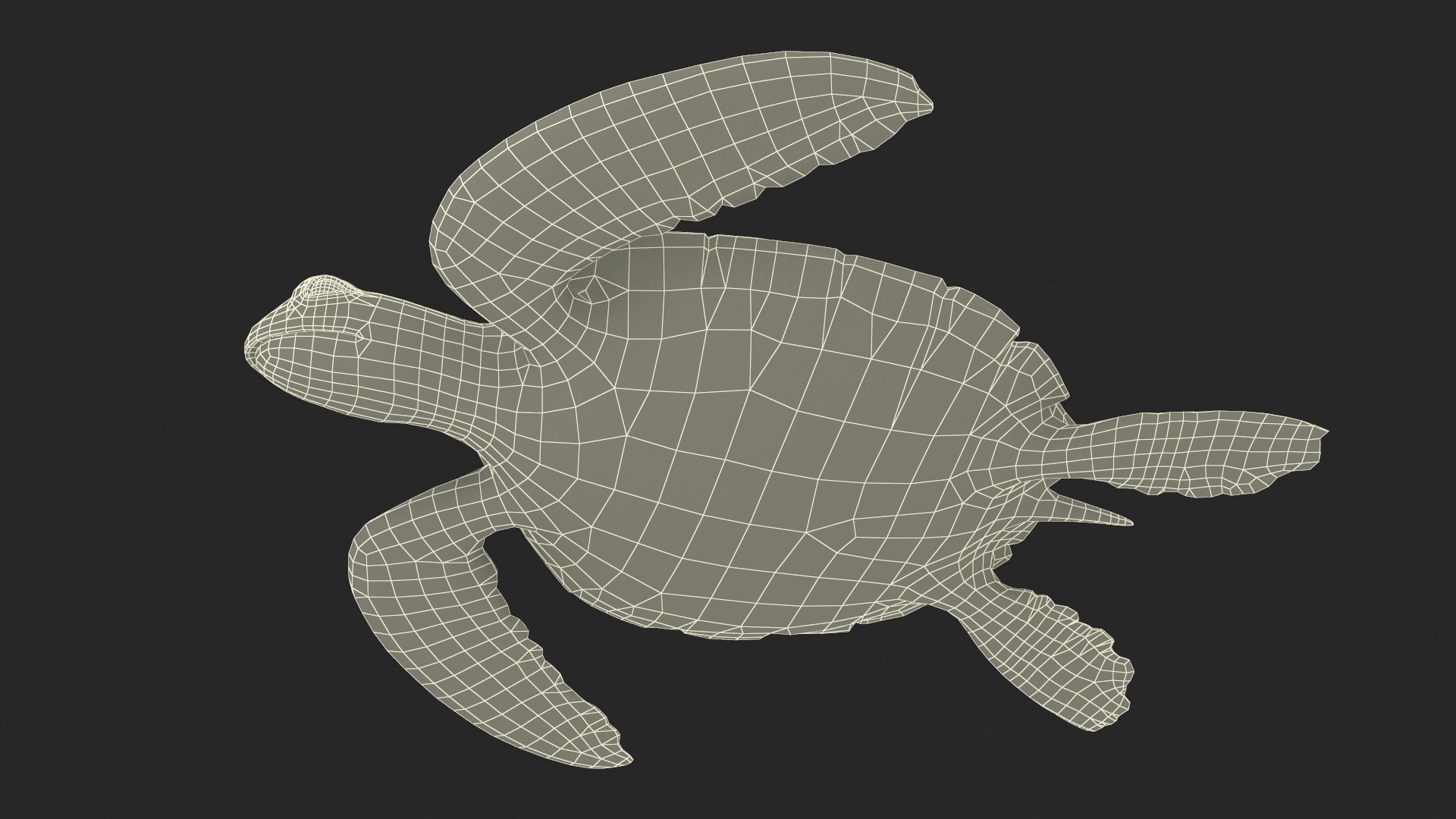 Green Turtle 3D https://p.turbosquid.com/ts-thumb/yg/ePKVDh/sk/greenturtlevray3dmodel025/jpg/1709035076/1920x1080/fit_q87/1b3e29df7c9abfb2dda5d779e62c6f84a9608875/greenturtlevray3dmodel025.jpg