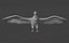 Two different version of vulture flying and sitting bird collection rigged and low poly