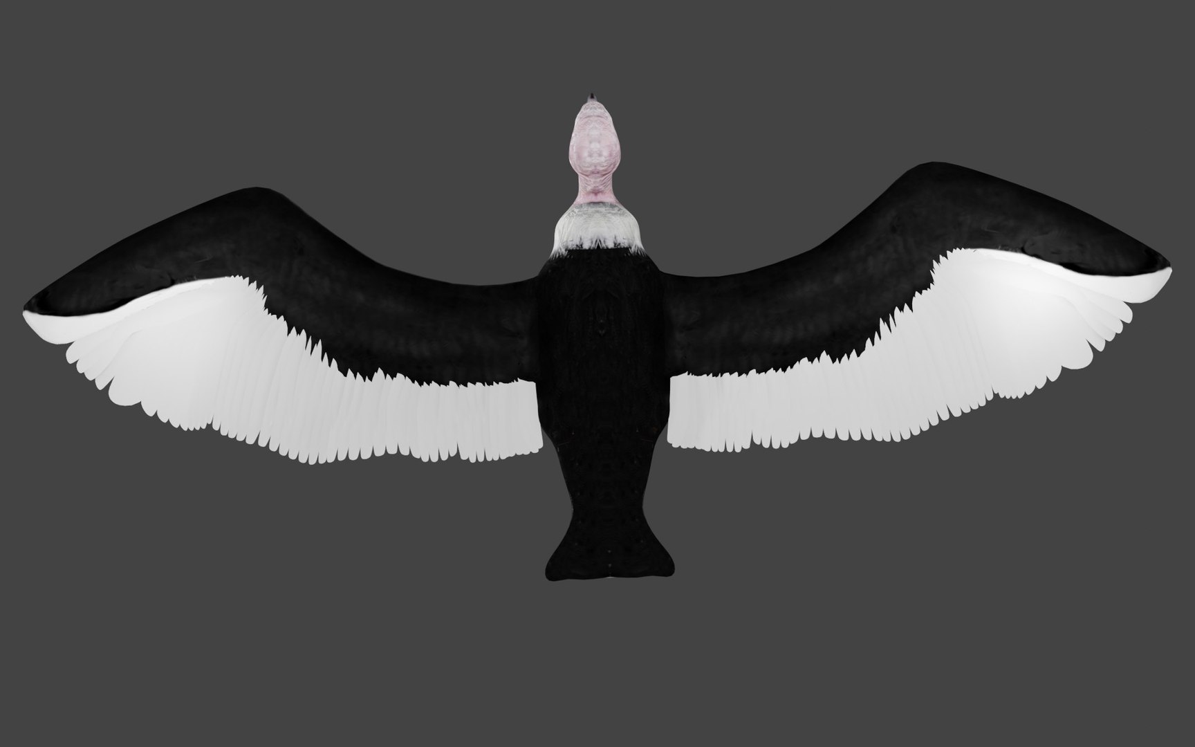 different version vulture model https://p.turbosquid.com/ts-thumb/yg/jvA1Hx/wW/b5/jpg/1609008521/1920x1080/fit_q87/c051ecd701b2e04fc54d1f16ac2c7ea4f4eae0b5/b5.jpg
