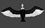 Two different version of vulture flying and sitting bird collection rigged and low poly