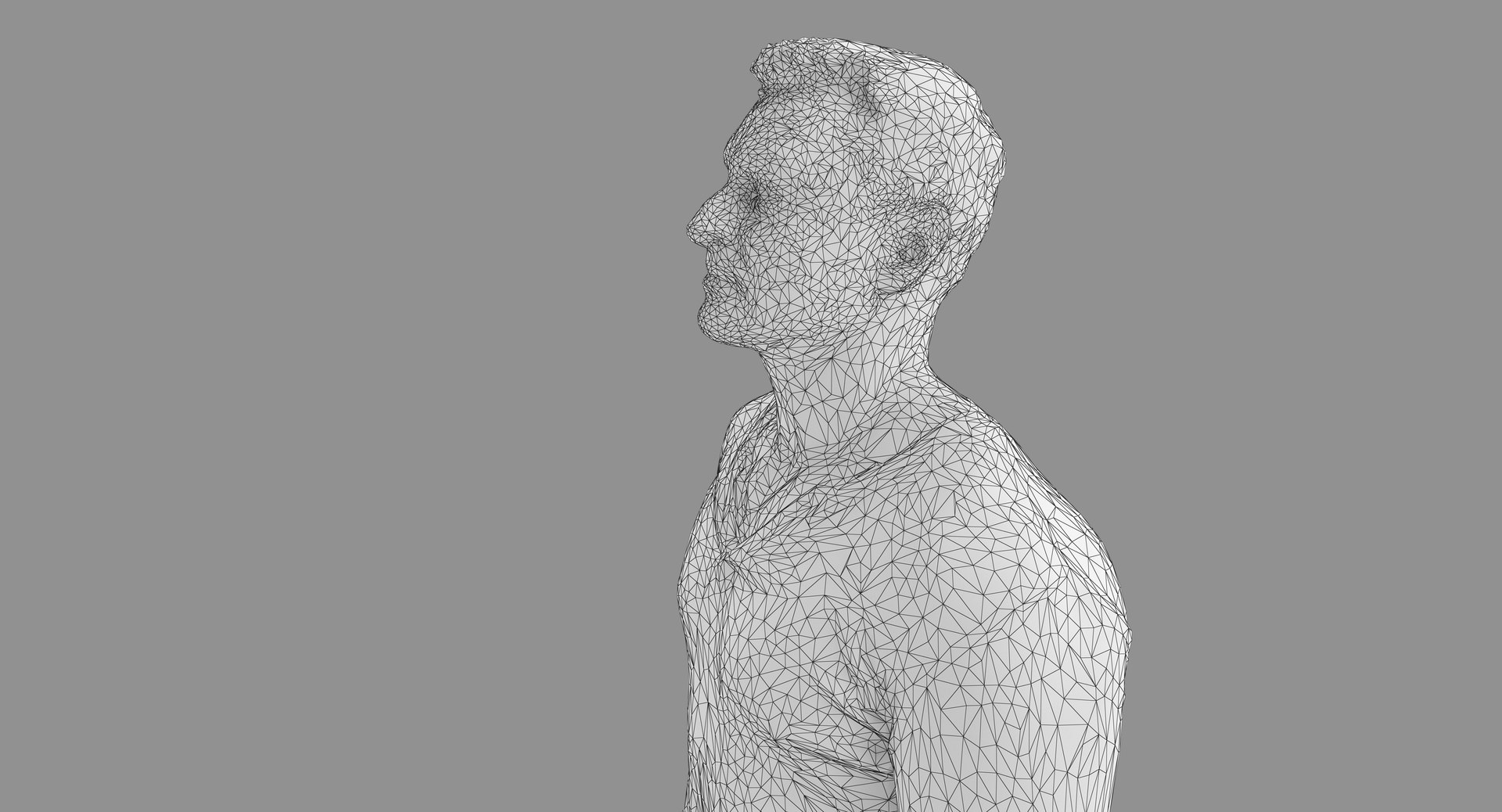 3d Human Body