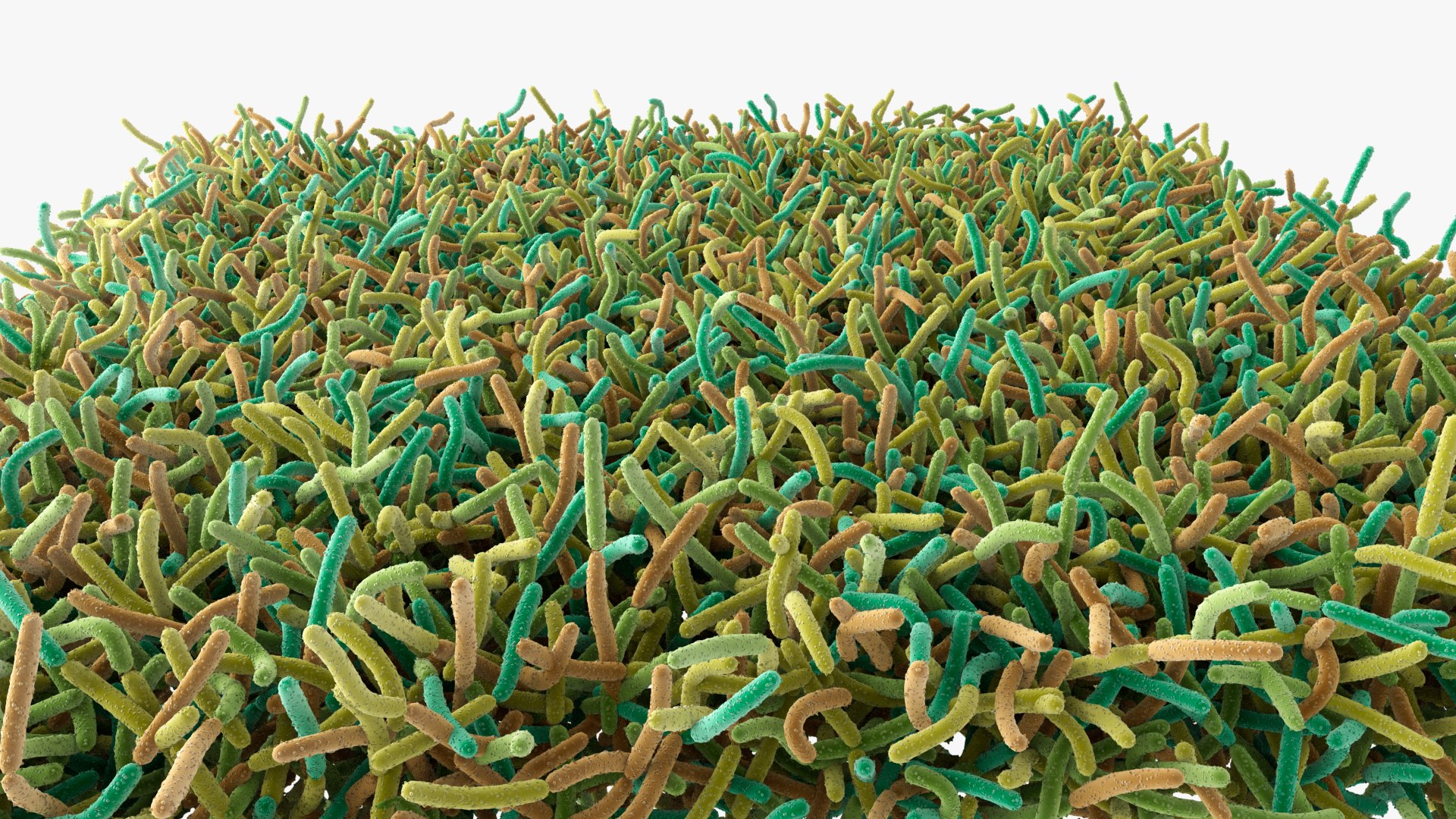 Bacteria Soil 3D Model - TurboSquid 2237726