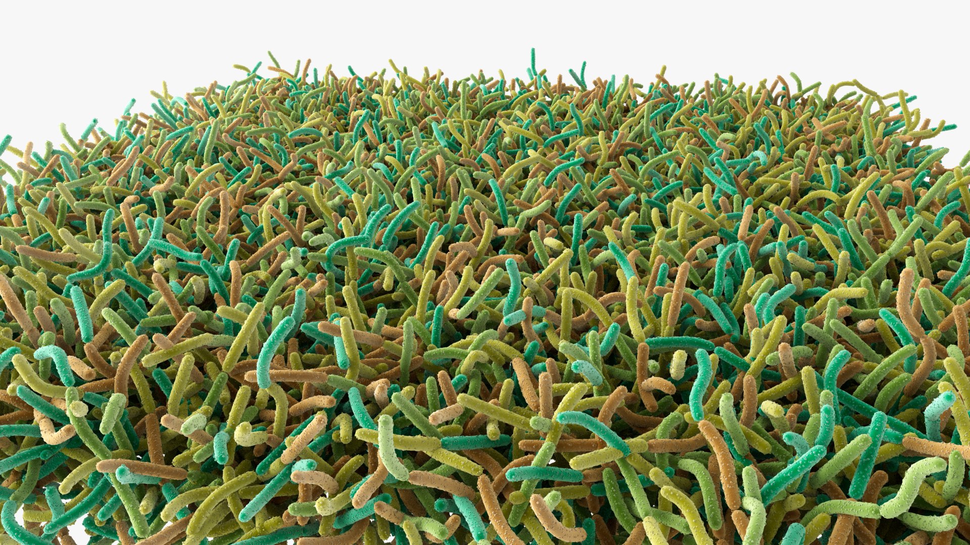 Bacteria Soil 3D model https://p.turbosquid.com/ts-thumb/yg/pOoWBu/GG/images_001/jpg/1717484789/1920x1080/fit_q87/5519447cc2c4fc25d6ef327a97c9d48d974fed08/images_001.jpg