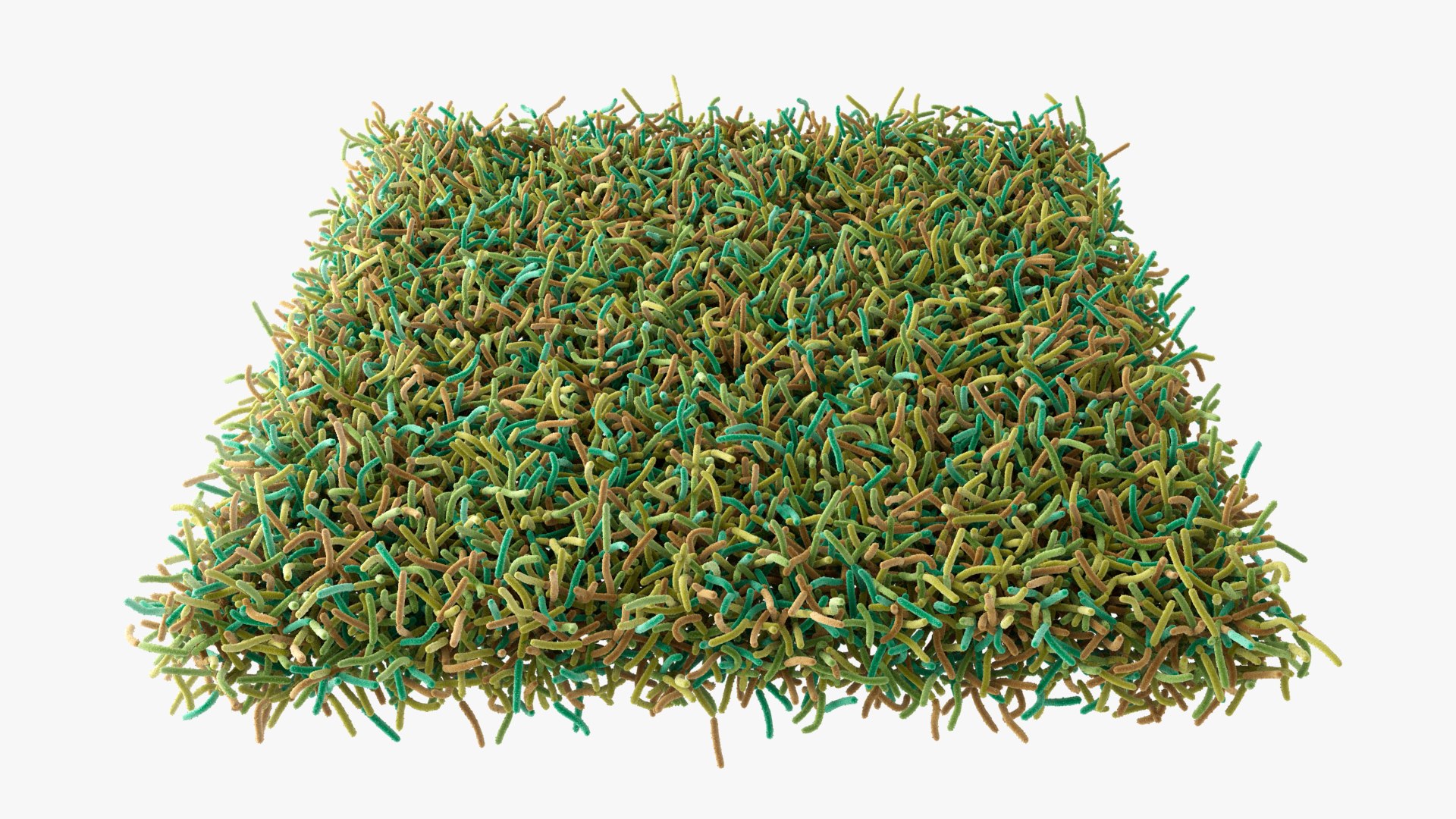 Bacteria Soil 3D model https://p.turbosquid.com/ts-thumb/yg/pOoWBu/Ug/closeups_000/jpg/1717484798/1920x1080/fit_q87/255bf76127c496cebc2955baf1a2cad60ce7c51b/closeups_000.jpg