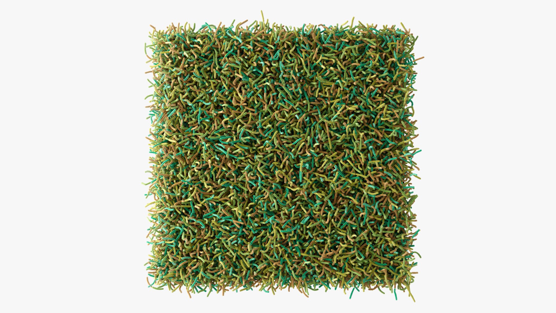 Bacteria Soil 3D model https://p.turbosquid.com/ts-thumb/yg/pOoWBu/Vp/closeups_001/jpg/1717484801/1920x1080/fit_q87/15cb1fd739e96c659ec62596c1995d8a9bd3e81a/closeups_001.jpg