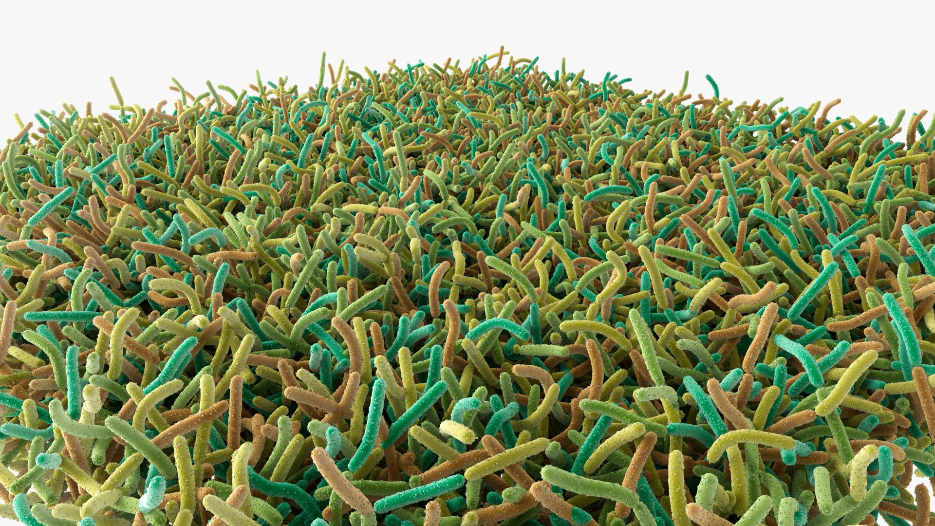 Bacteria Soil 3D model https://p.turbosquid.com/ts-thumb/yg/pOoWBu/aM/images_003/jpg/1717484792/1920x1080/fit_q87/dc4280aac5600c60b75f23fa4d41e461d4c97653/images_003.jpg