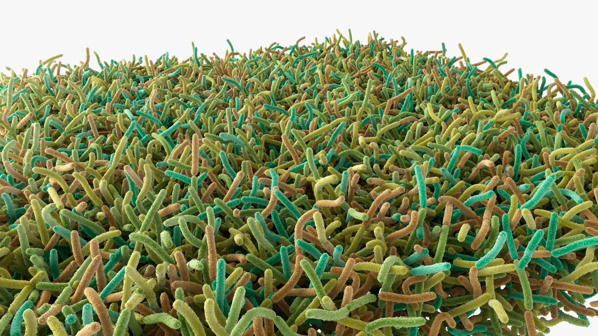 Bacteria Soil 3D model https://p.turbosquid.com/ts-thumb/yg/pOoWBu/pa/images_004/jpg/1717484794/1920x1080/fit_q87/b9e182bb2fb7d34351f6a2fe30892bc7c7968e73/images_004.jpg