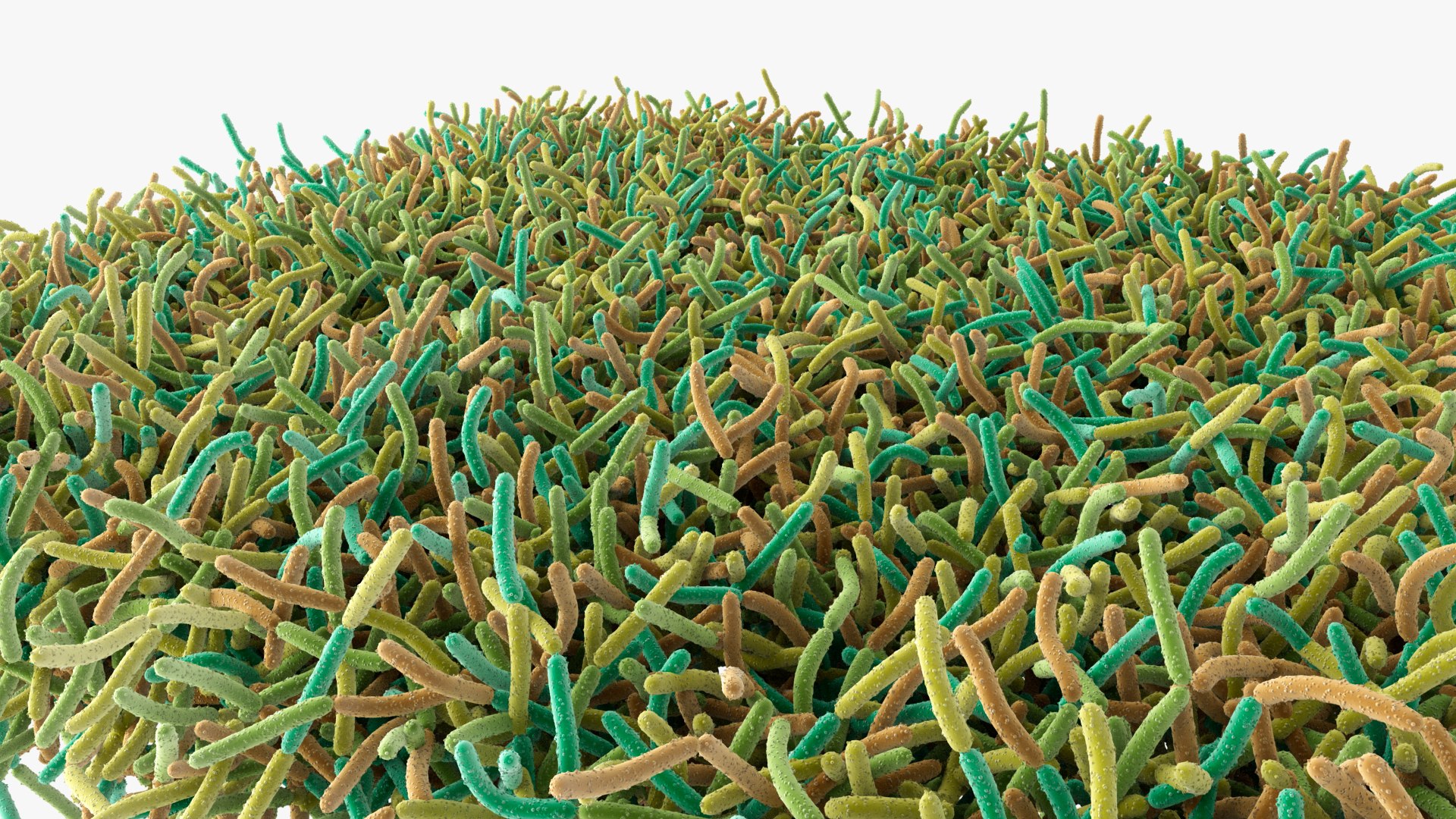 Bacteria Soil 3D model https://p.turbosquid.com/ts-thumb/yg/pOoWBu/yb/images_002/jpg/1717484790/1920x1080/fit_q87/f40290df1182ca7a66e6e3e35a652d8726d6f661/images_002.jpg