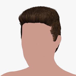 3D model Hairstyle 43