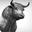 3D bull head model