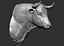 3D bull head model