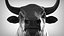 3D bull head model