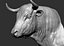 3D bull head model