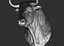 3D bull head model