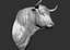 3D bull head model