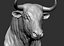 3D bull head model