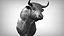 3D bull head model