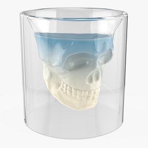 3D Crystal Skull Shot Glass with Cocktail model