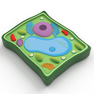 Plant Cell v3