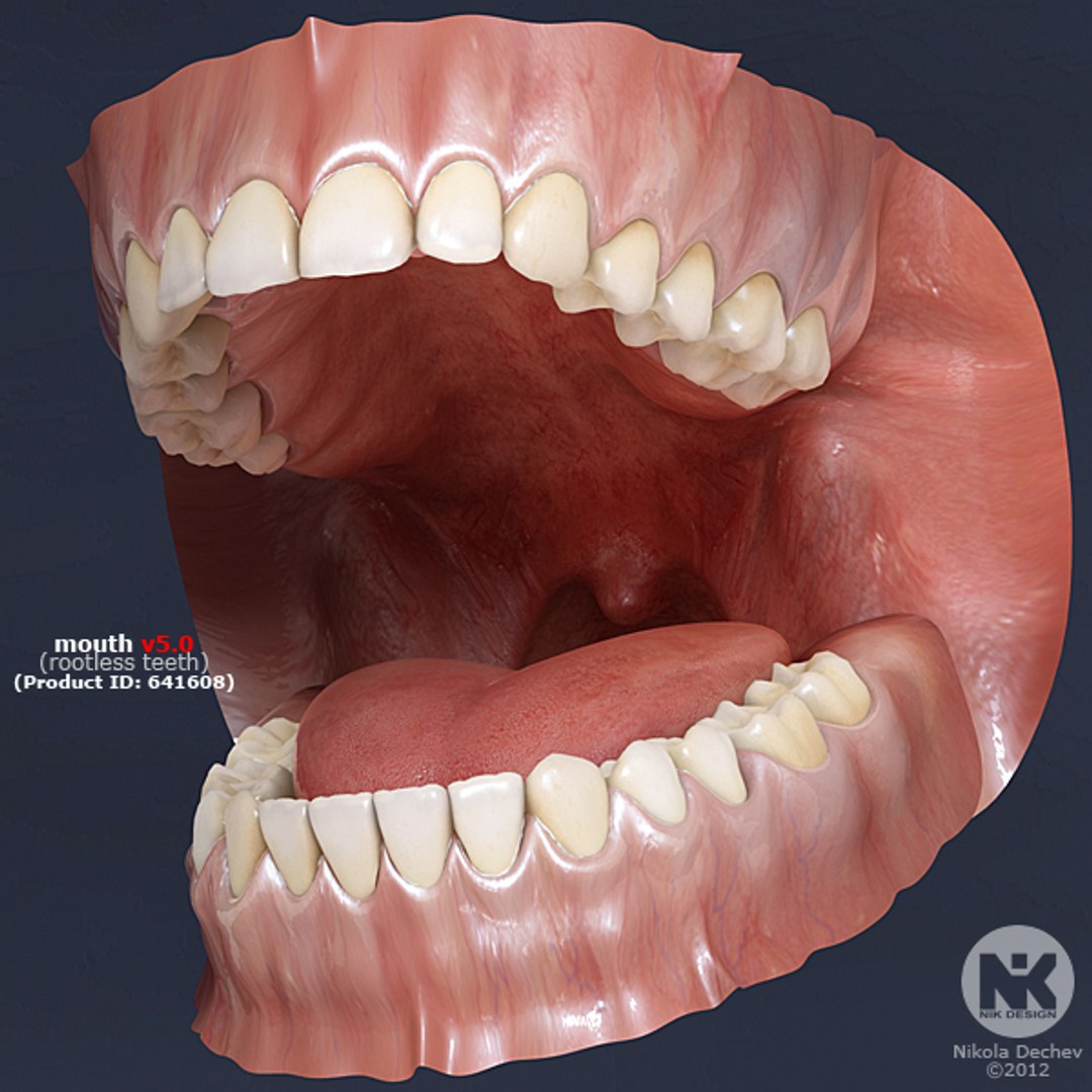 ballerina nina mouth 3d max https://p.turbosquid.com/ts-thumb/yh/ABpvvK/MtpXktQy/mouth_v5.0/jpg/1329709239/1920x1080/fit_q87/526d0093ec62cf76bae0208d7f18a34d3dfa4541/mouth_v5.0.jpg