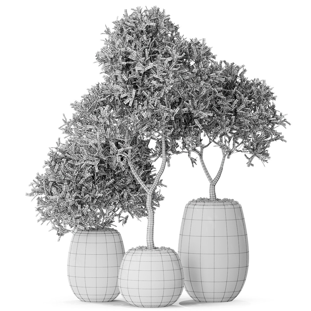 Plants collection 571 3D https://p.turbosquid.com/ts-thumb/yh/Ma9Sxq/iM/plant_571_05.rgb_color1920width1920px/jpg/1645904171/1920x1080/fit_q87/3c408b55f5f2728308db73f2934da2ac09fe4e49/plant_571_05.rgb_color1920width1920px.jpg
