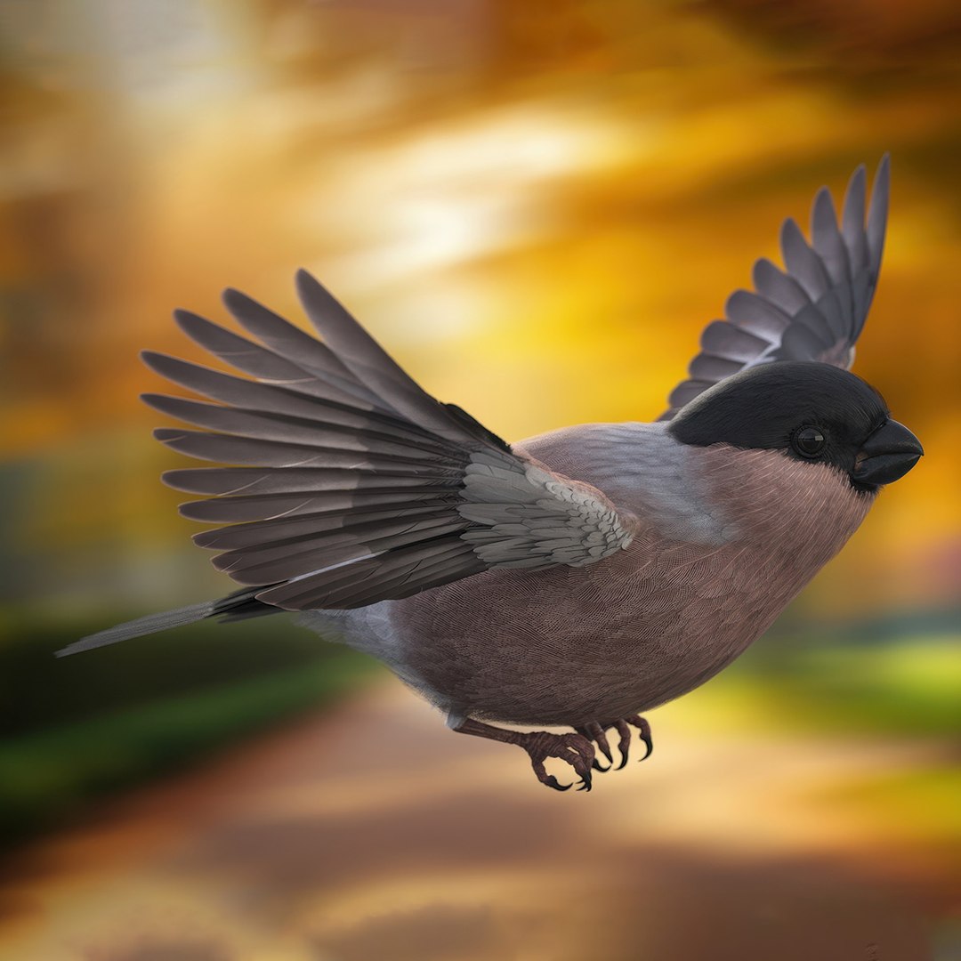 Bullfinch Female Bird Rigged 3D model preview