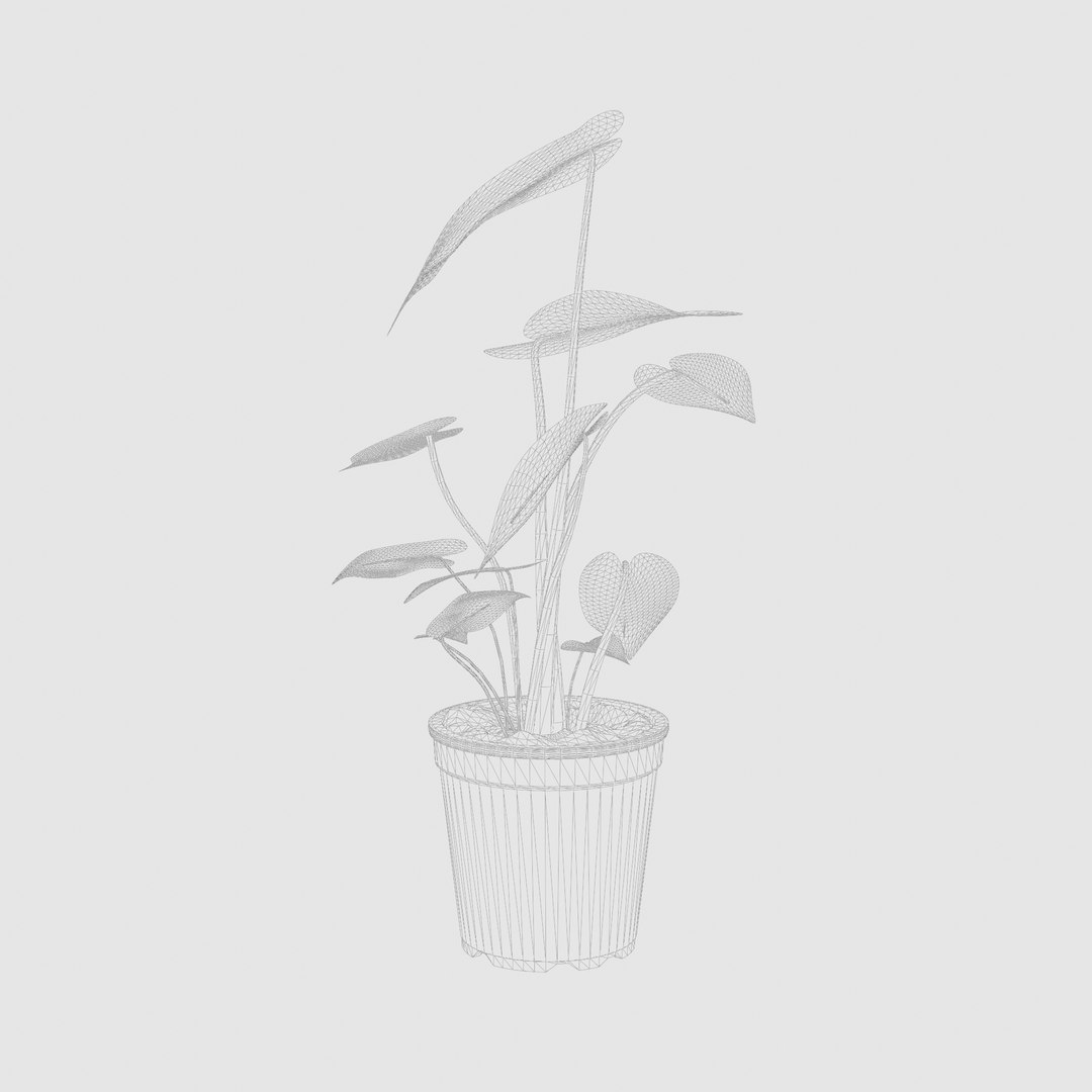 3D Monstera deliciosa model https://p.turbosquid.com/ts-thumb/yh/ebwmau/ZM/preview_5/jpg/1720433277/1920x1080/fit_q87/6030c4cdddcf1fffbcdb852de1053b6590f4f48f/preview_5.jpg