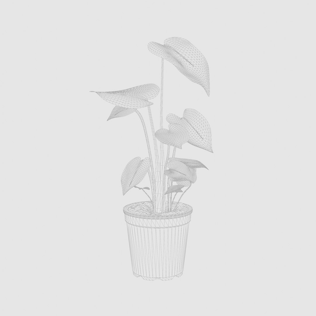3D Monstera deliciosa model https://p.turbosquid.com/ts-thumb/yh/ebwmau/v0/preview_7/jpg/1720433287/1920x1080/fit_q87/8092d31c8ef7a85dc1fe727fd168eb16acaea6d1/preview_7.jpg