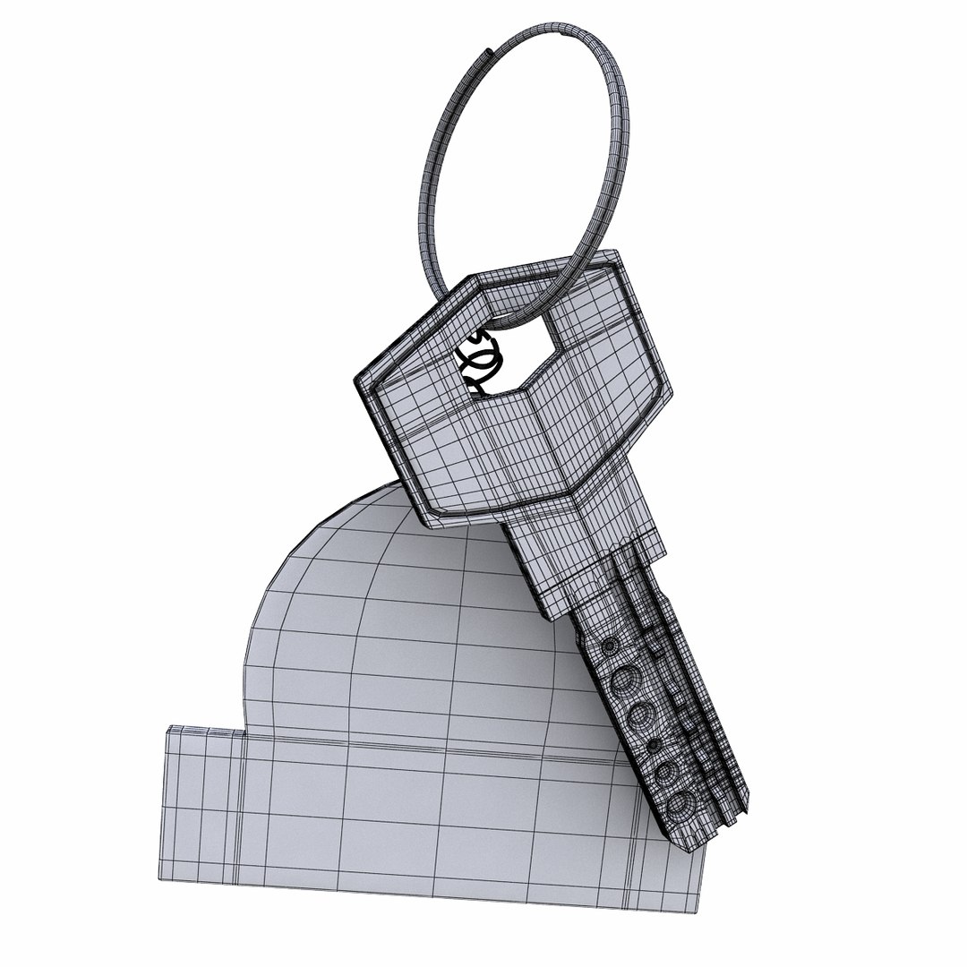 realistic keys 3D https://p.turbosquid.com/ts-thumb/yh/lHhDVT/cSkBOhfh/picture11/png/1532080412/1920x1080/fit_q87/5213a1da5f6bca0b84319a038797154033510374/picture11.jpg