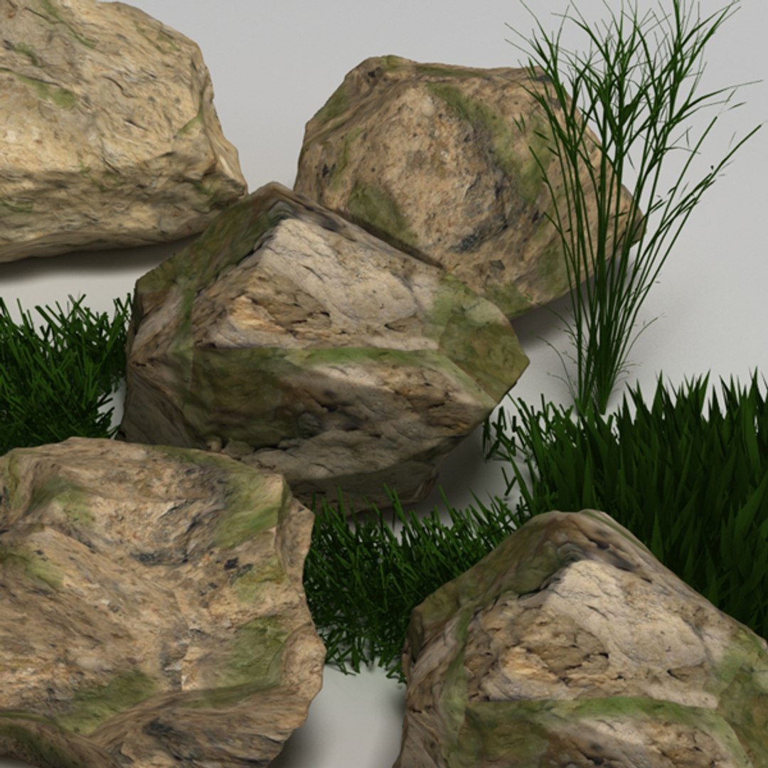 plant rock max https://p.turbosquid.com/ts-thumb/yh/lMs1lQ/2OcguZj1/03/jpg/1356127461/1920x1080/fit_q87/9a5ae3d4707b5f1206669adc6c72bcb343a10c54/03.jpg