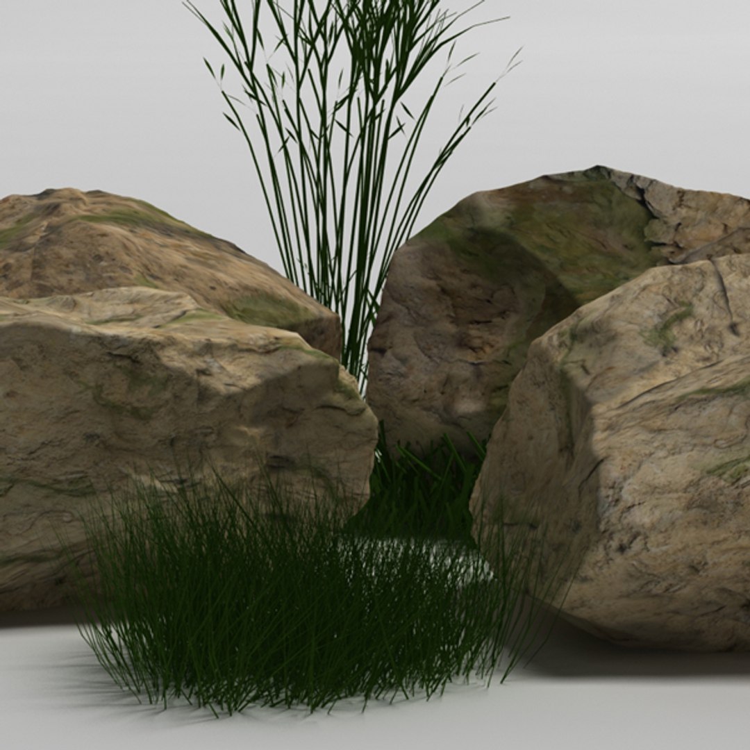 plant rock max https://p.turbosquid.com/ts-thumb/yh/lMs1lQ/KPtlC4UF/02/jpg/1356127461/1920x1080/fit_q87/1ba1928fbd9c4d65e09555a6235fff6a22e3b11e/02.jpg