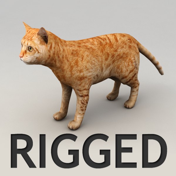 3dsmax rigged red cat