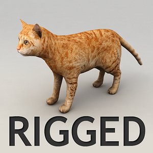 Red cat rigged model
