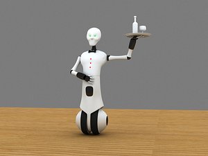 3d waiter robot