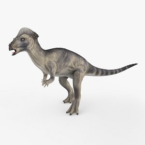 pachycephalosaurus rigged animation 3D
