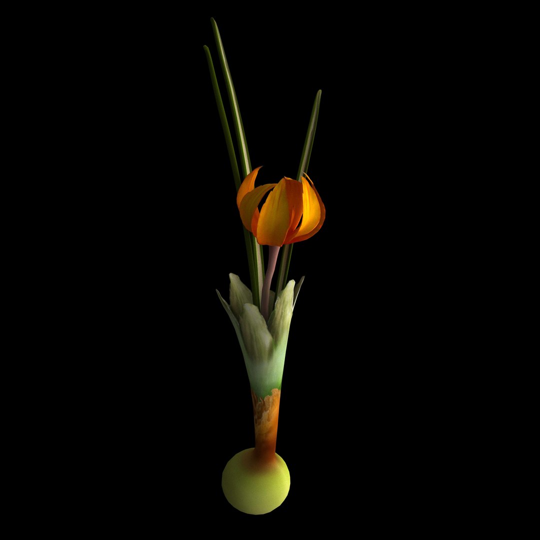flowers open animation 3D https://p.turbosquid.com/ts-thumb/yi/1GOp3E/0xhk87fd/08/jpg/1594212026/1920x1080/fit_q87/d1e526cfafc51f15c3edf7c4e8e3112dea916d42/08.jpg