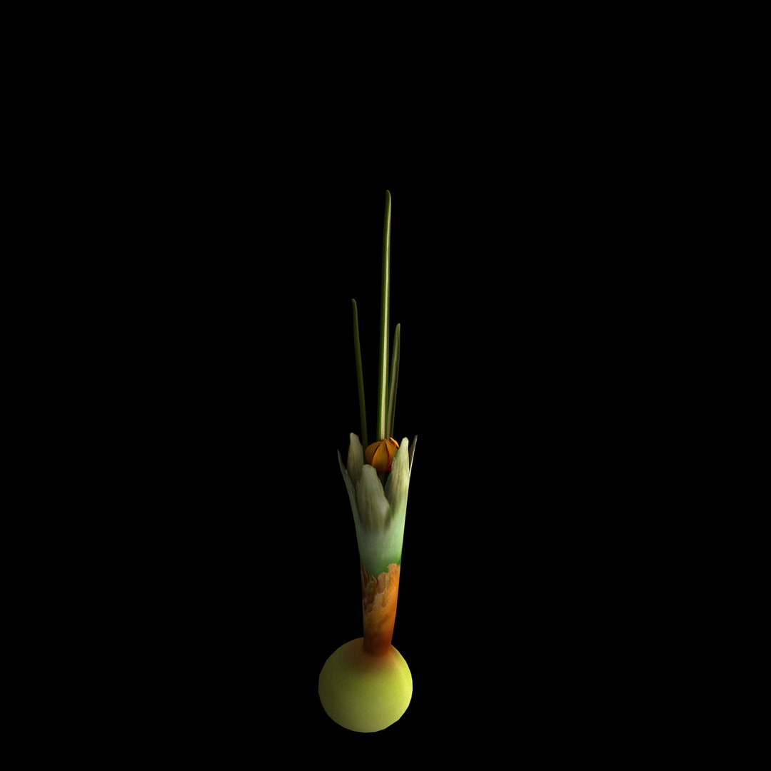 flowers open animation 3D https://p.turbosquid.com/ts-thumb/yi/1GOp3E/SNytxbw5/07/jpg/1594212026/1920x1080/fit_q87/51274b1c425164c35abc7f07daf5756d8f5adf8e/07.jpg