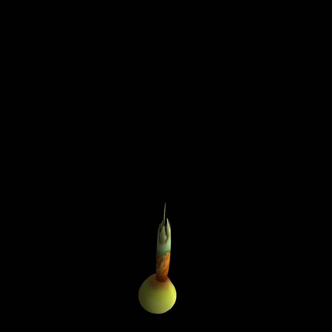 flowers open animation 3D https://p.turbosquid.com/ts-thumb/yi/1GOp3E/dI4YYEyO/06/jpg/1594212026/1920x1080/fit_q87/65820280bc7ed5a832e665f56946628f7561aa52/06.jpg