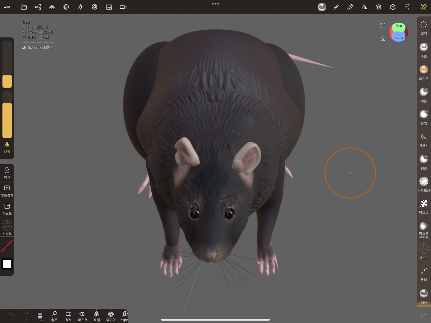 Rat 3D - TurboSquid 2117396